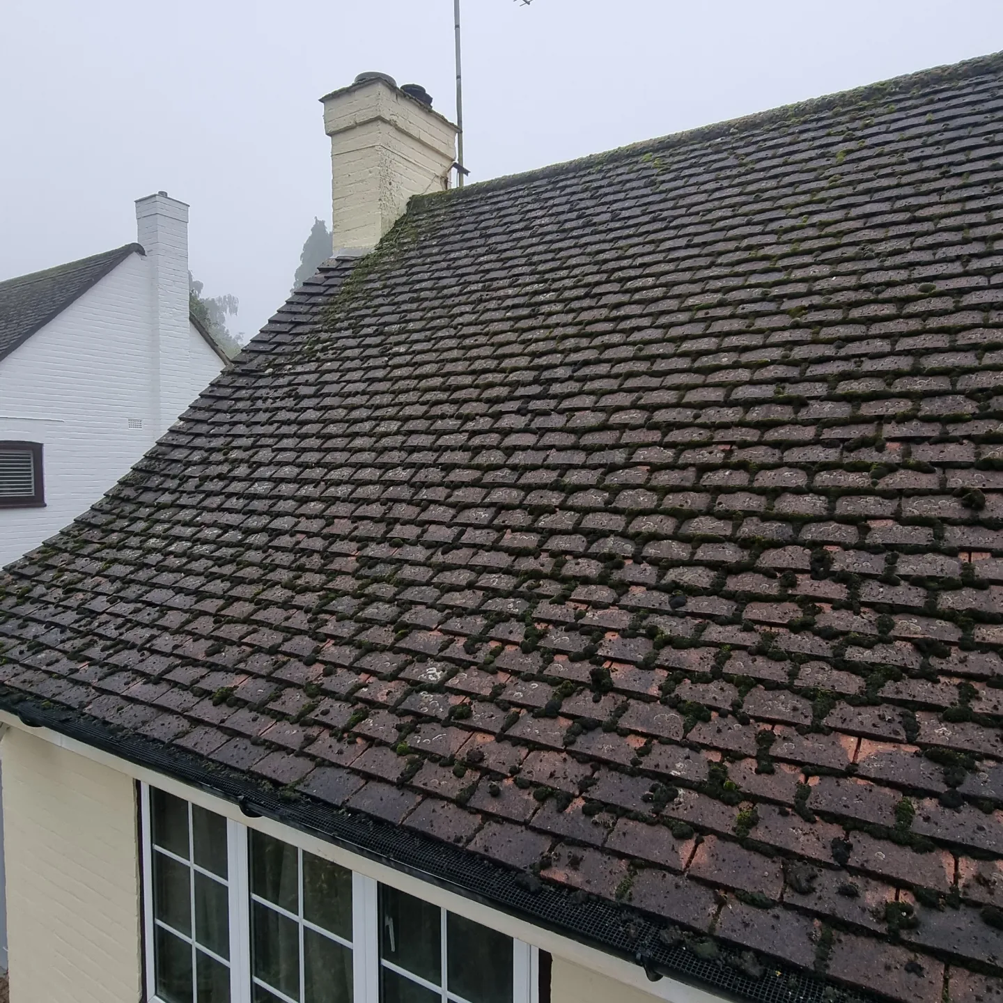 Cottage roof covered in moss and lichen before cleaning