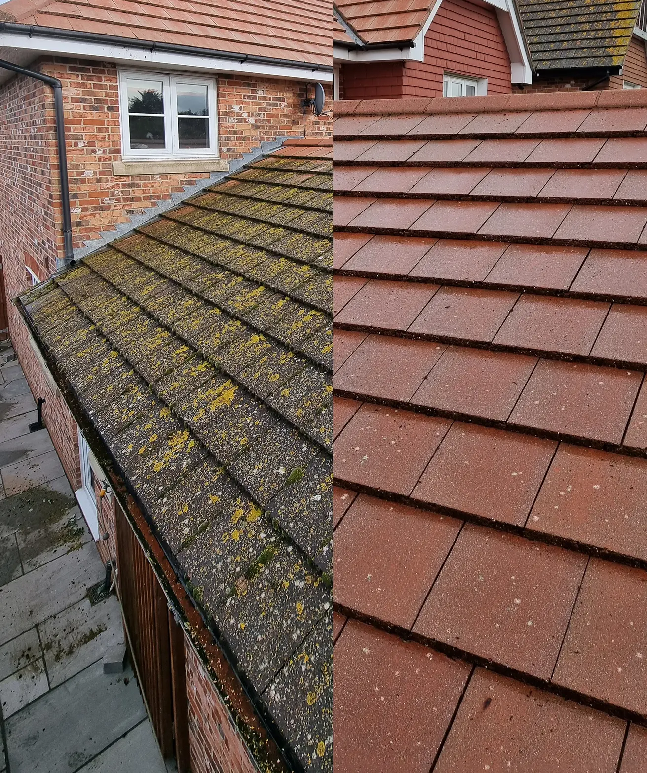 Roof tiles beside a red brick wall before and after cleaning, with the cleaned side showing clear terracotta tiles